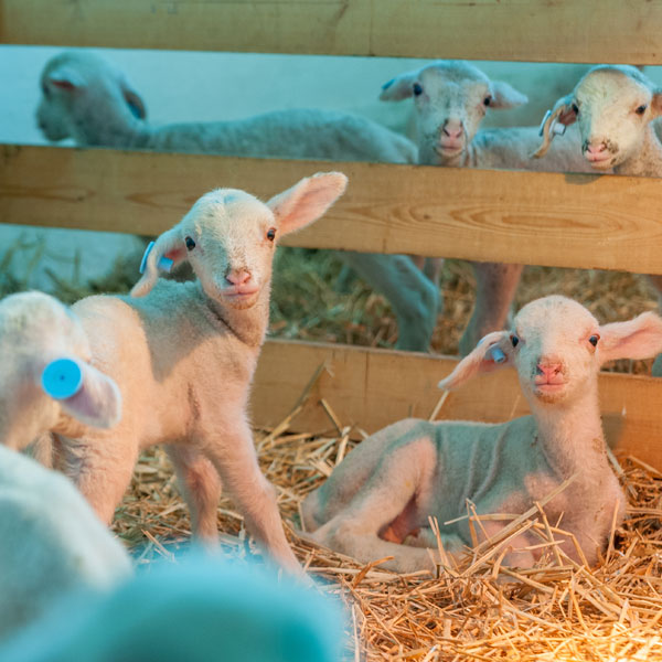 Καλημέρα κόσμε!